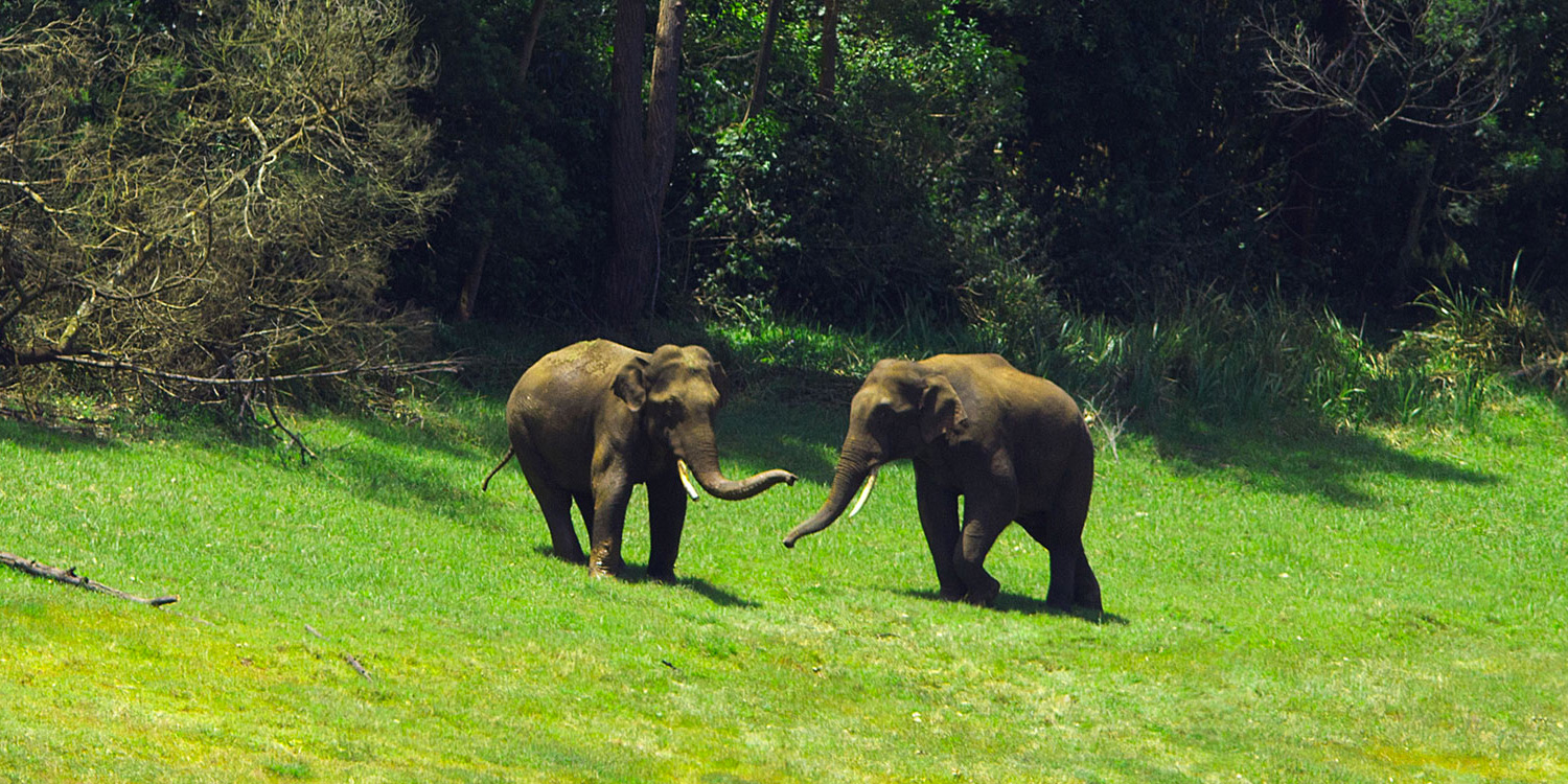 Munnar