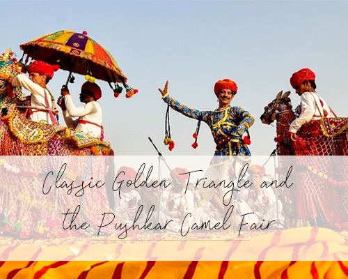 Pushkar-Fair