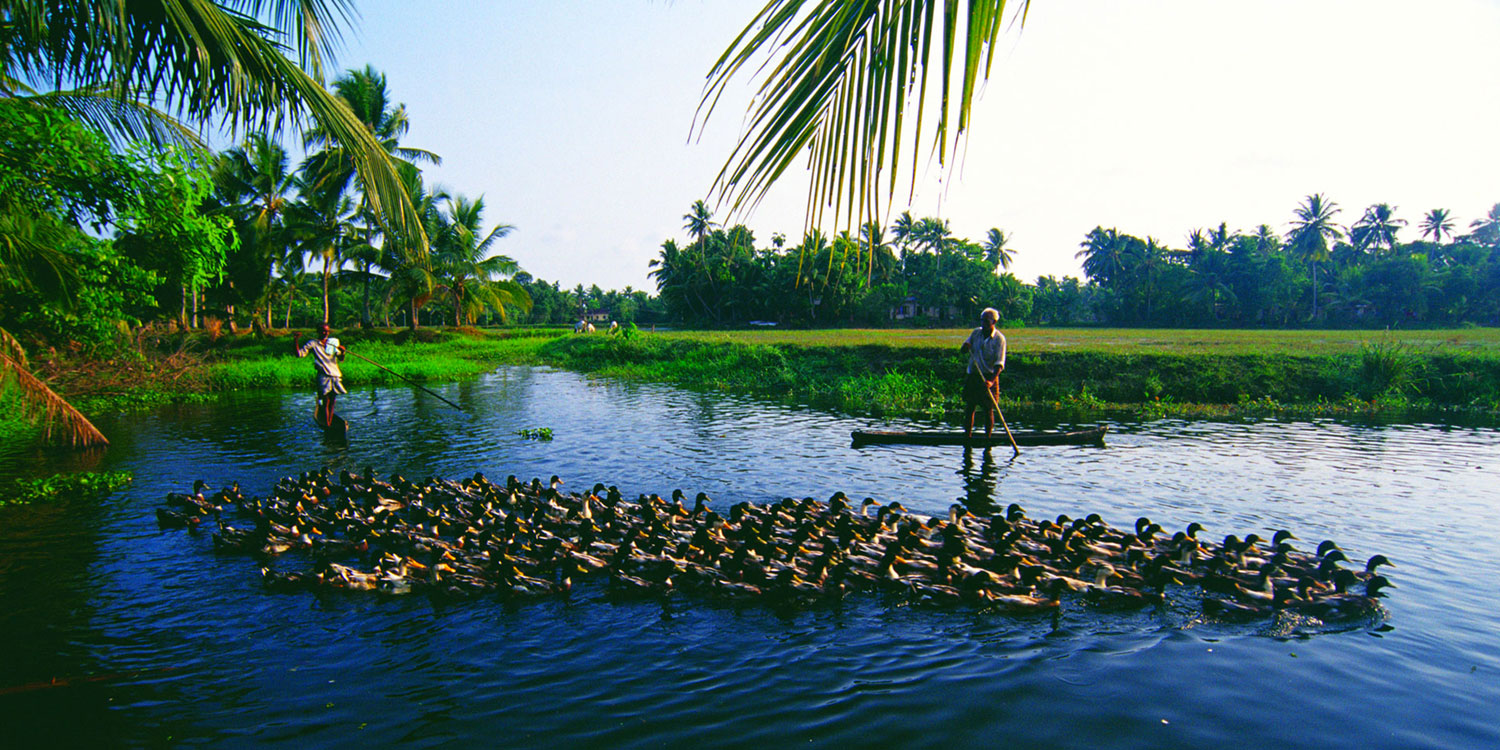 Signature-Kerala