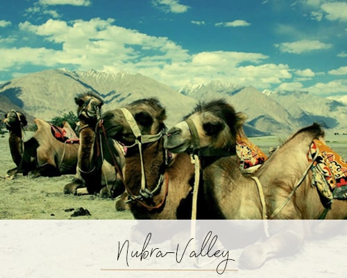 Nubra-Valley