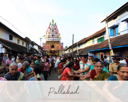 Pallakad