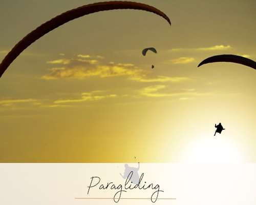 Paragliding