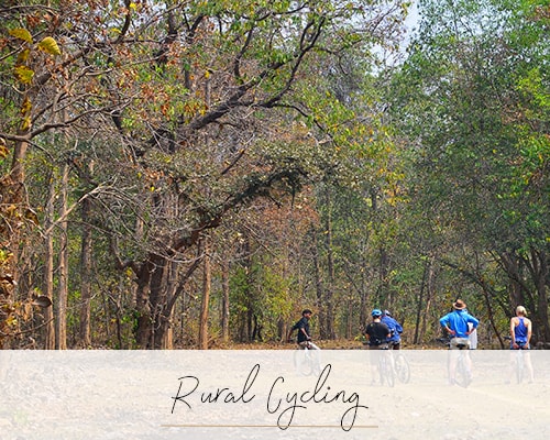 Rural Cycling