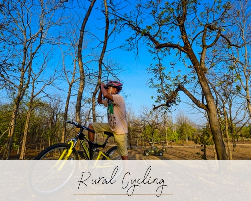 Rural Cycling