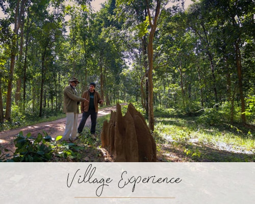 Village Experience