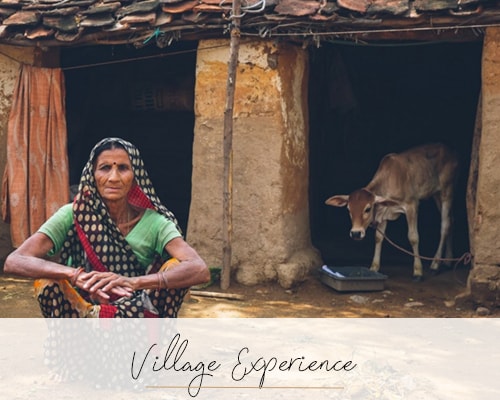 Village Experience