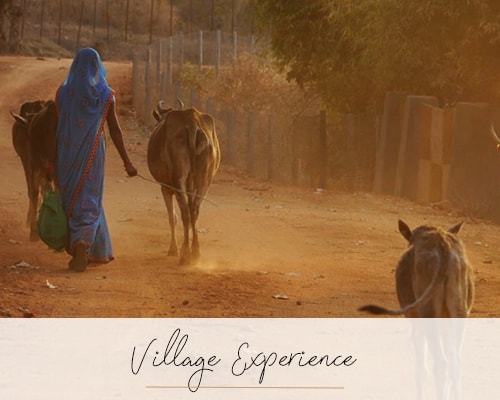 Village Experience