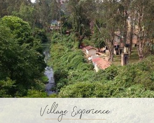 Village Experience