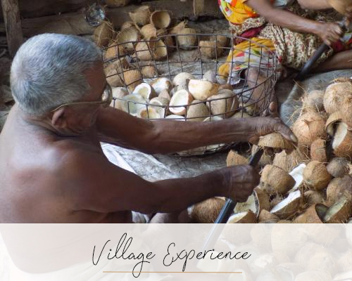 Village Experience