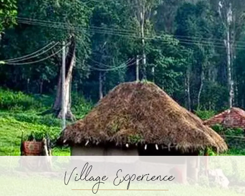 Village Experience