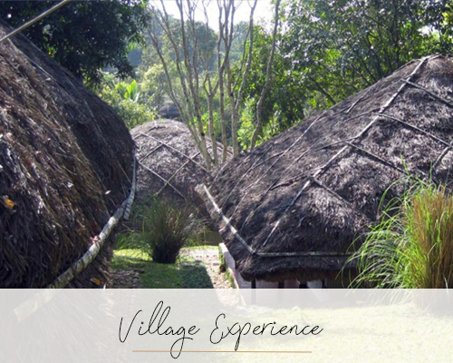 Village Experience