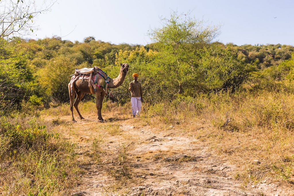 Rajasthan