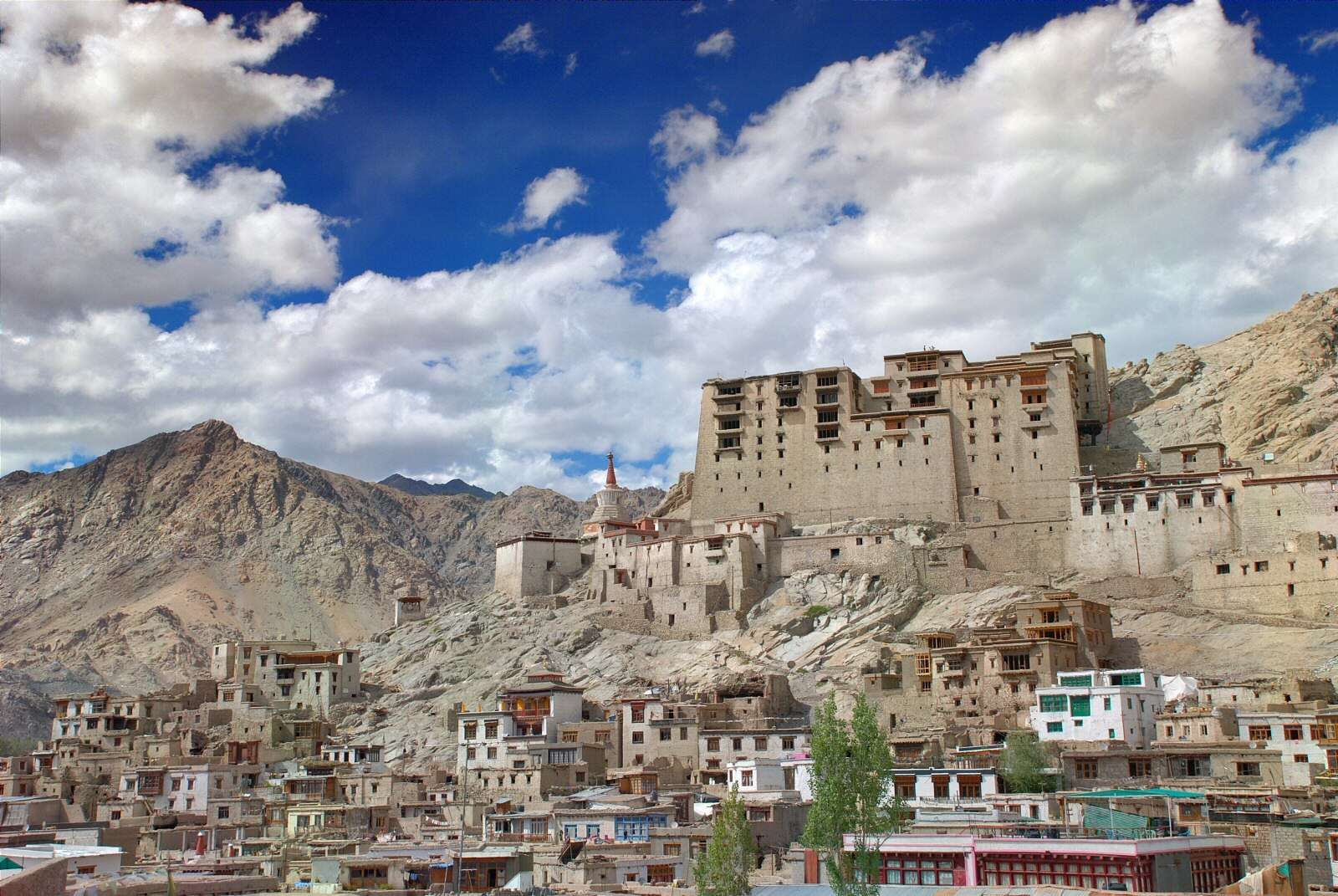 Leh Royal Palace